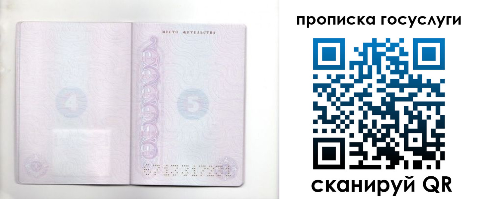 временная регистрация для всех в Светлограде